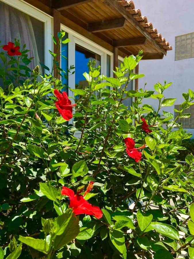 Cherrywood Creta Apartment Jerápetra Kültér fotó